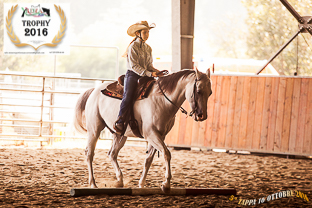 trail-horse_youth_0012