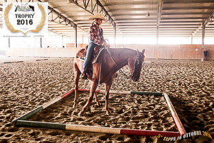 trail-horse_youth_0022