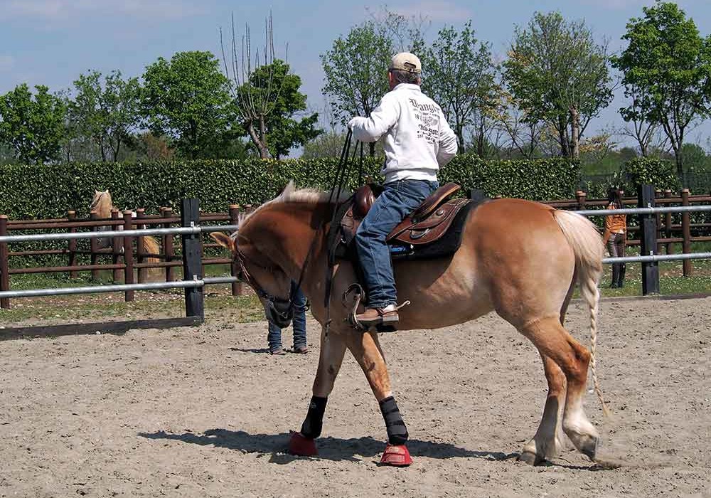 paolo7