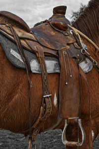 L'equipaggiamento del cavallo per l’Equitazione Western
